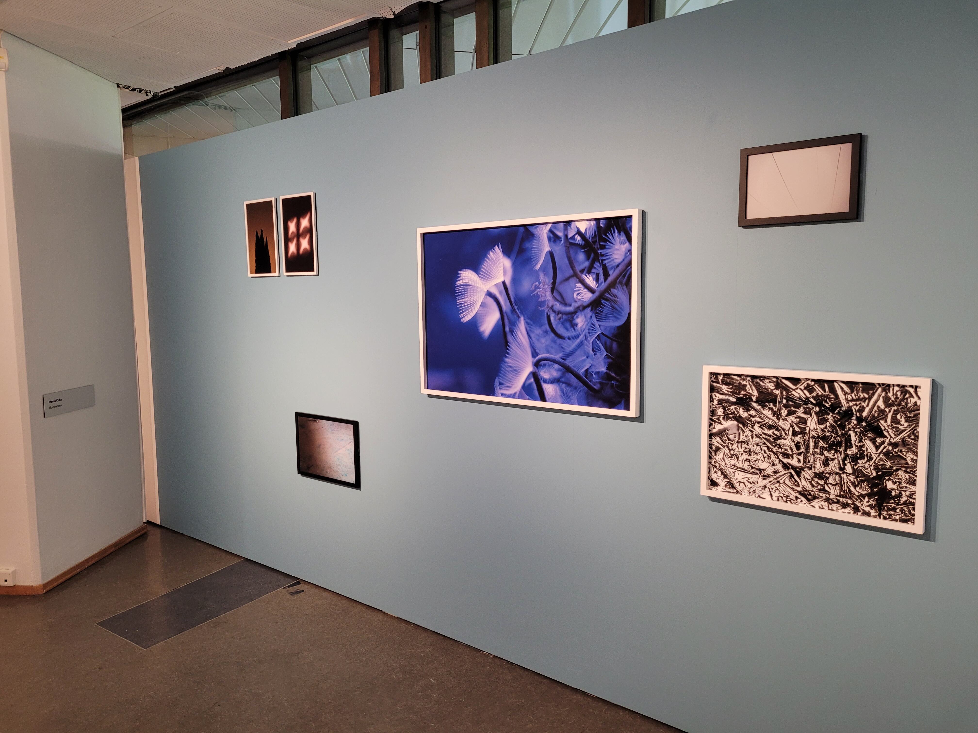 exhibition of abstract photros on a lightblue wall