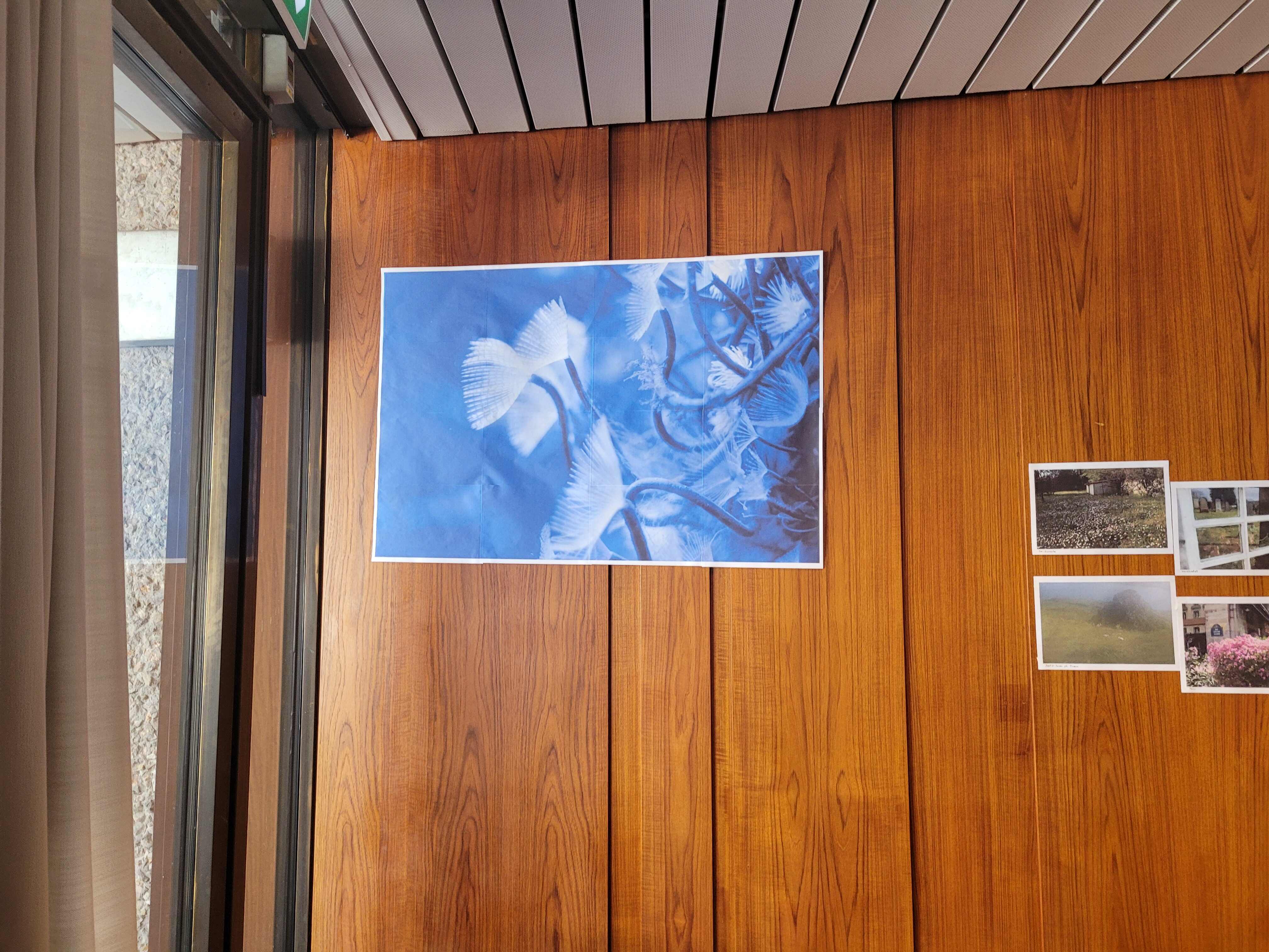 a large test print of the main photo in the exhibition