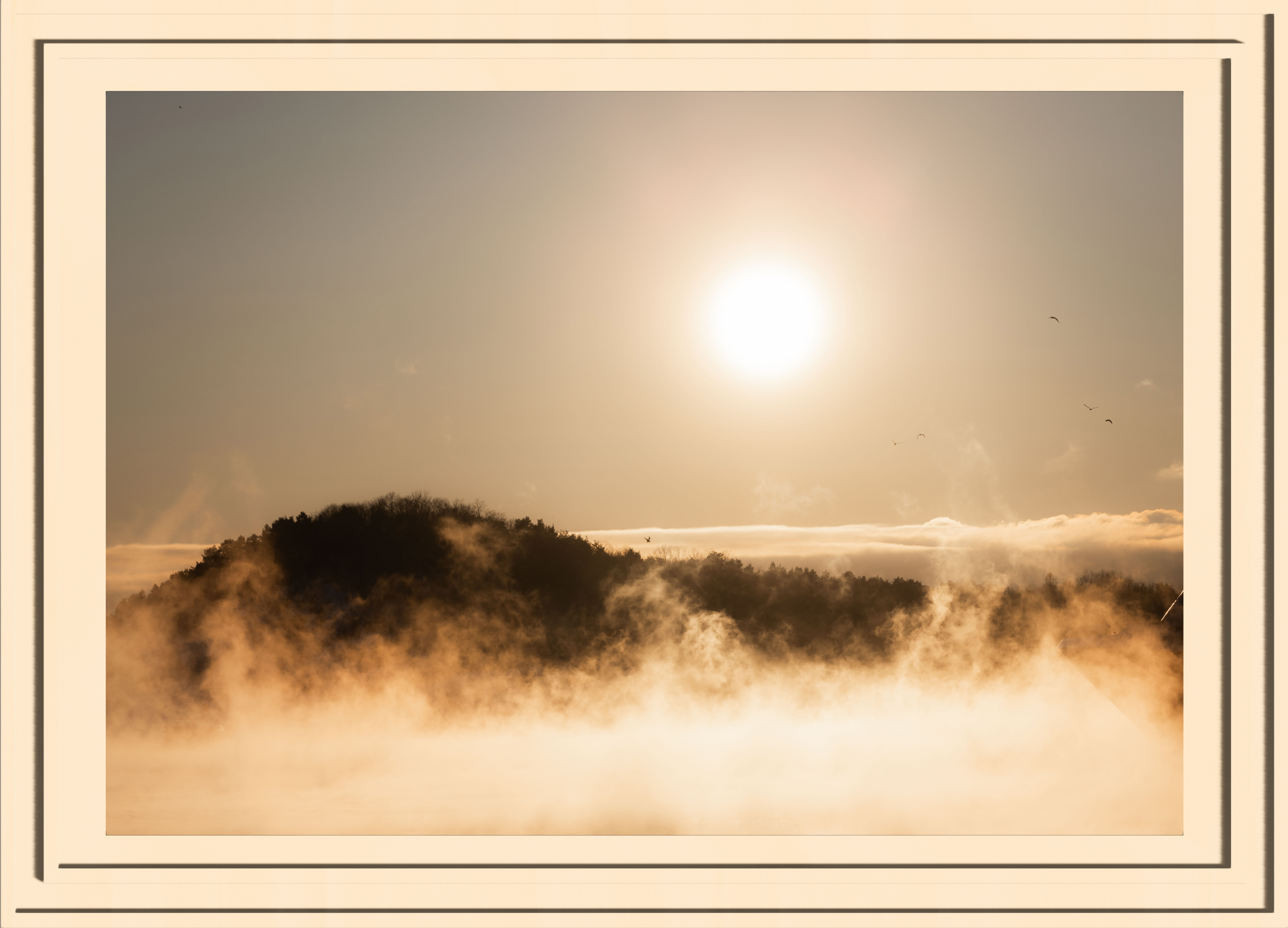 An island peaking through the mist