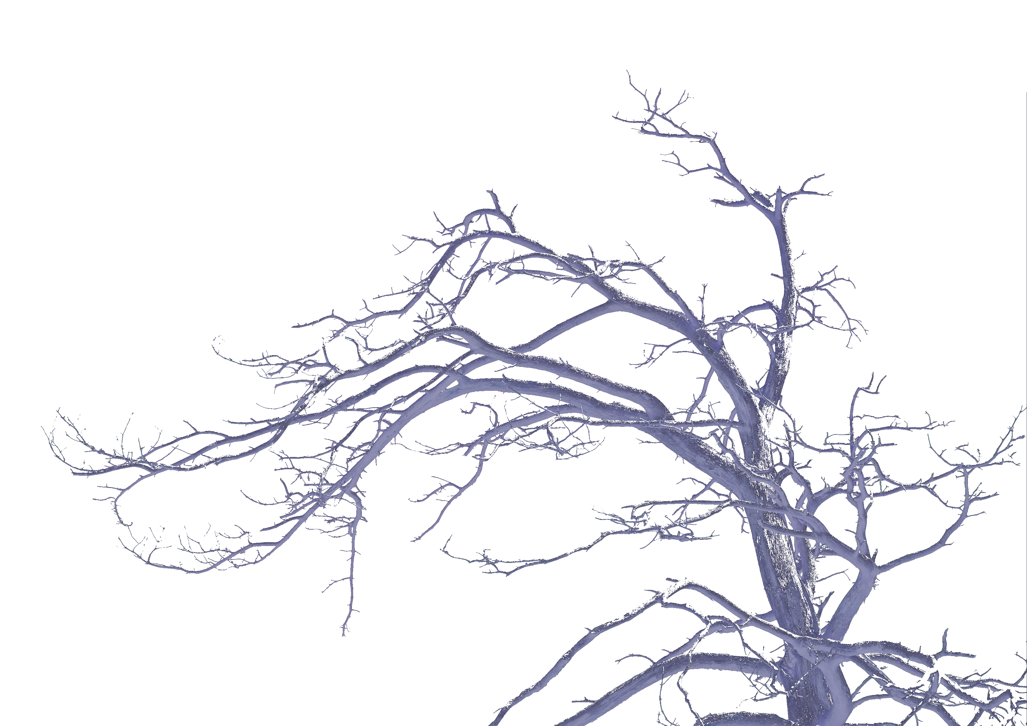 Black and white tree - Background Image